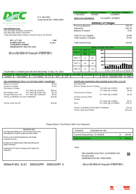USA Delaware Electric Co op business utility bill template in Word and PDF formats